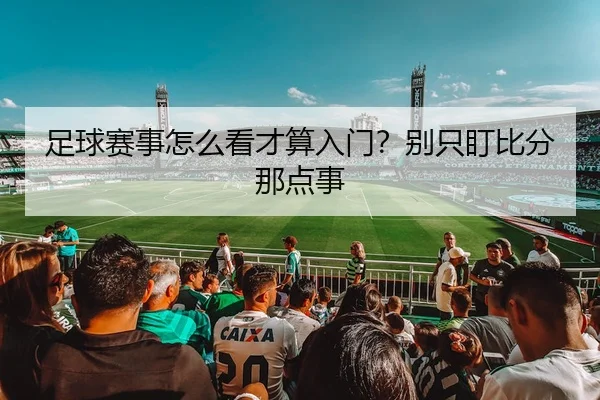 足球赛事怎么看才算入门？别只盯比分那点事