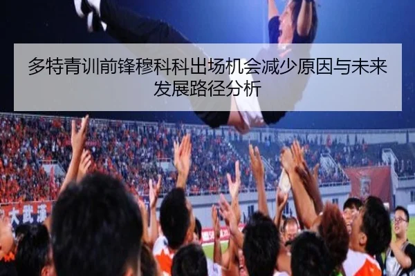 多特青训前锋穆科科出场机会减少原因与未来发展路径分析