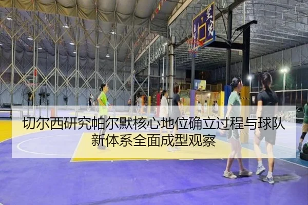 切尔西研究帕尔默核心地位确立过程与球队新体系全面成型观察