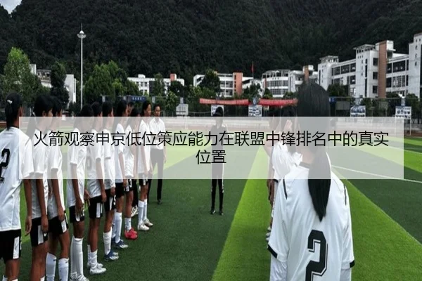 火箭观察申京低位策应能力在联盟中锋排名中的真实位置