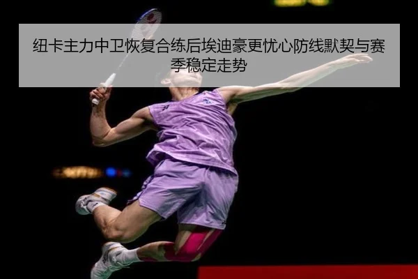 纽卡主力中卫恢复合练后埃迪豪更忧心防线默契与赛季稳定走势